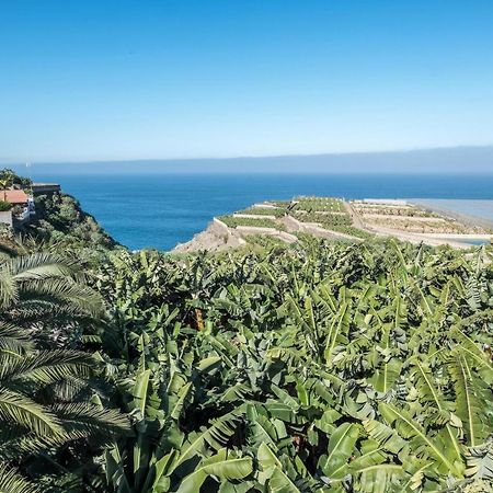 Finca Alejandrina La Guancha Екстериор снимка
