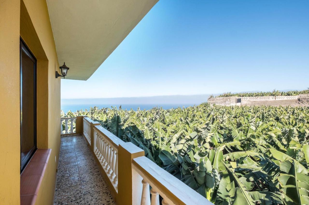 Finca Alejandrina La Guancha Екстериор снимка